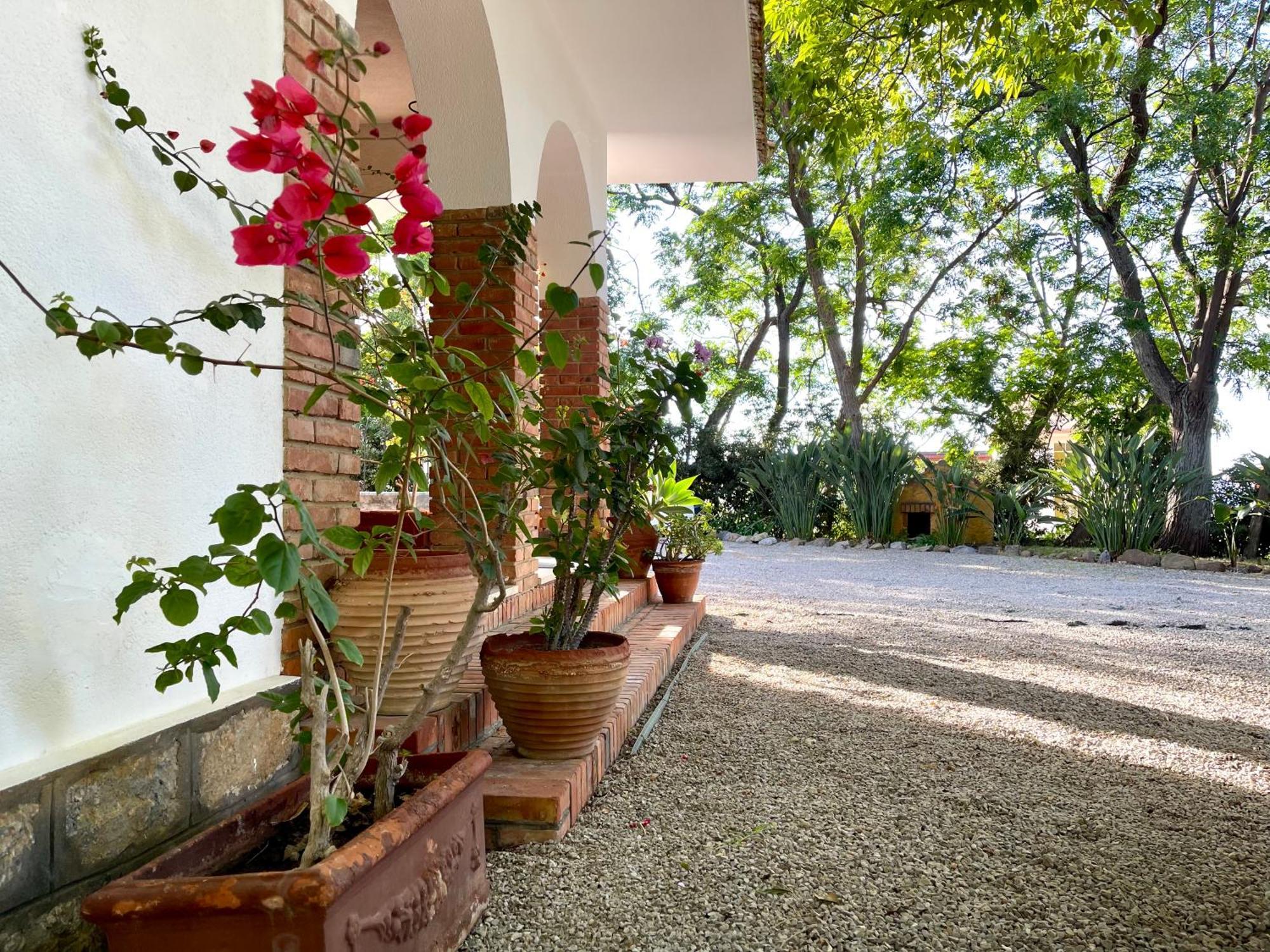 Villa Tana Pacenzia Чефалу Экстерьер фото